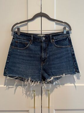 Abercrombie & Fitch The Mom Short High Rise 8/29